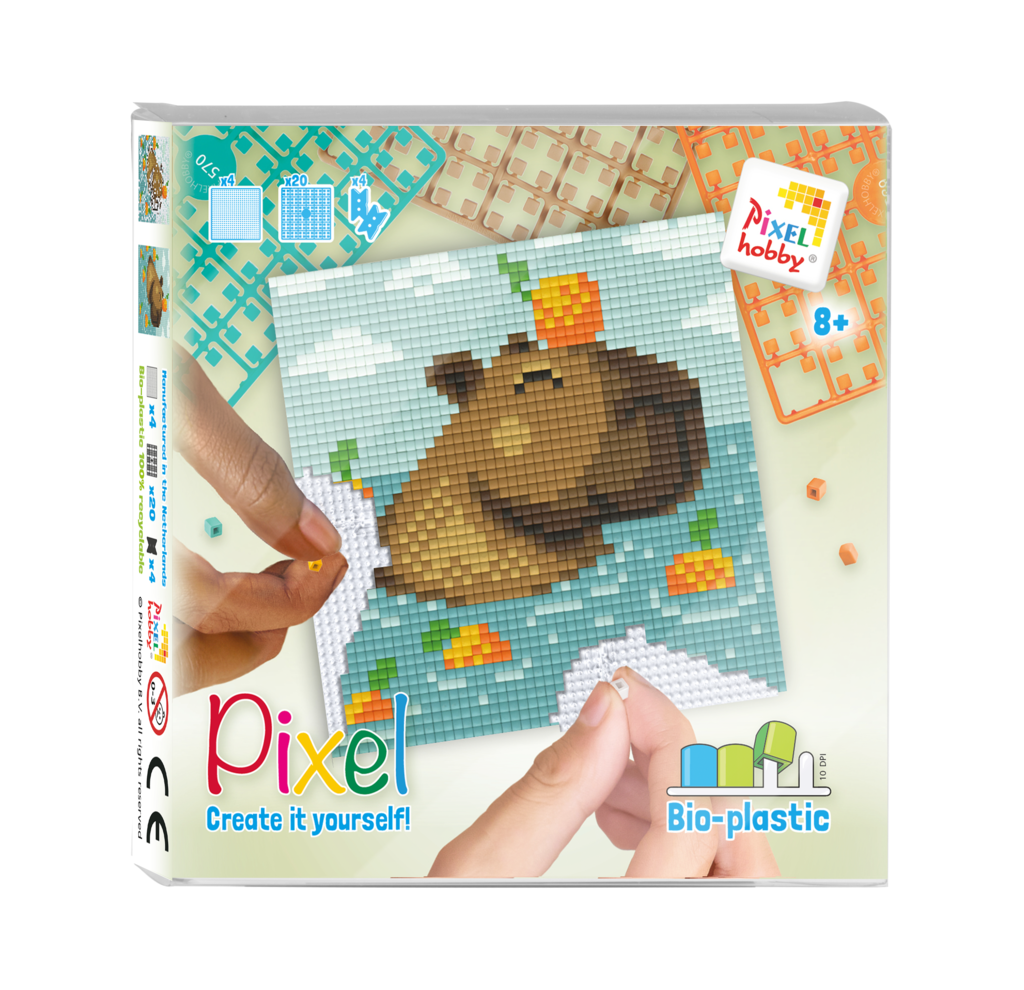 Coffret Pixel Classique DIY Durable - Capybara